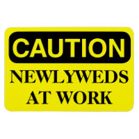 Funny Cruise Cabin Door Magnet - Newlyweds at Work