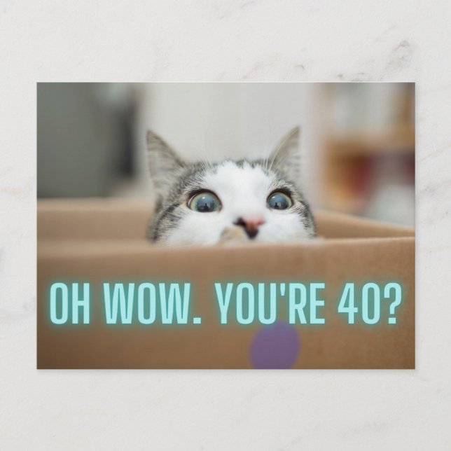 Funny Curious Cat 40th Birthday Postcard (Front)