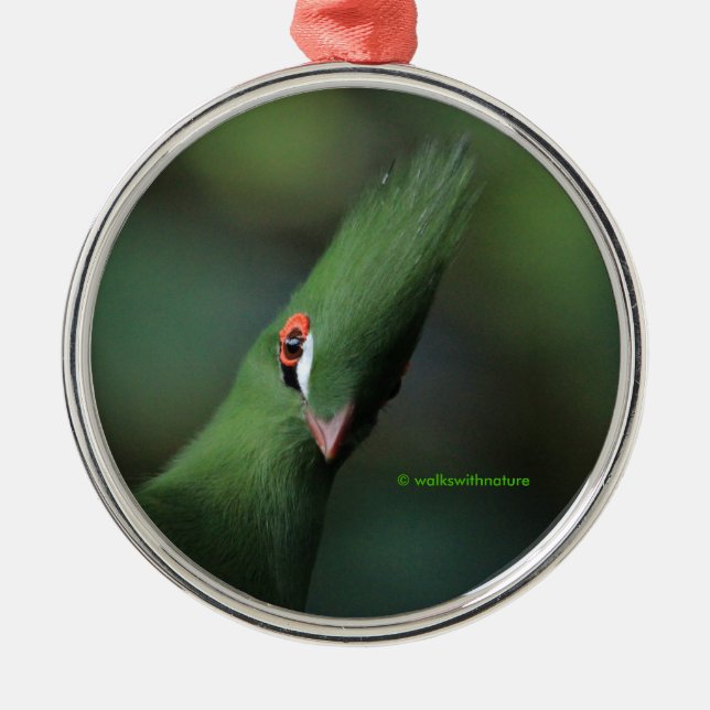 Funny Curious Guinea Turaco Green Bird Metal Ornament (Front)