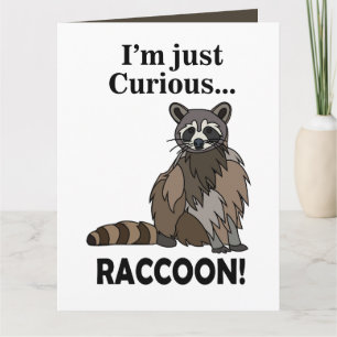 Funny Curious Raccoon Card