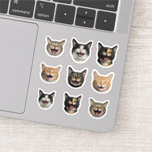 Funny Custom Cat Face – Personalized 9 Photos