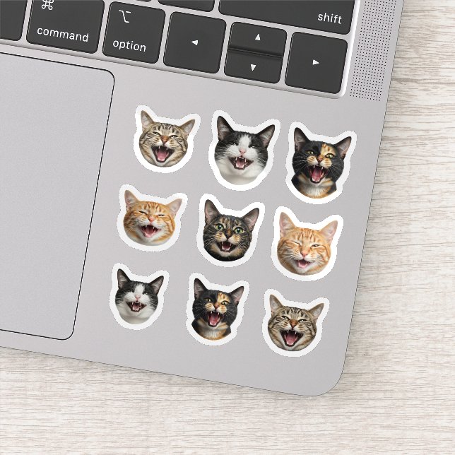 Funny Custom Cat Face – Personalized 9 Photos (Detail)