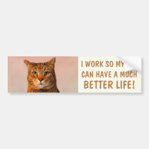 Funny Custom Cat Quote Bumper Sticker
