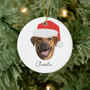 Funny Custom Dog Face & Name Santa Christmas Ceramic Ornament