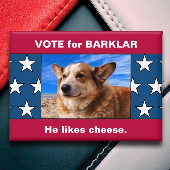 Funny Custom Dog President Election Campaign Photo (Funny Custom Dog Photo 2024 Presidential Election Campaign Button Non Partisan Political Humor)