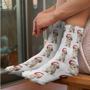 Funny Custom Pet Photo Socks