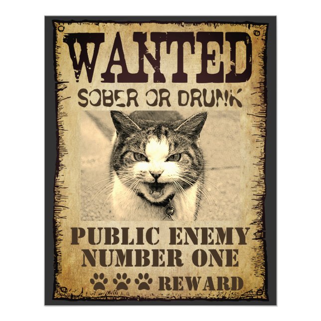 Funny custom wanted poster (Front)