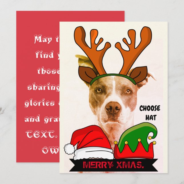 Funny custom Xmas. hats  Invitation (Front/Back)