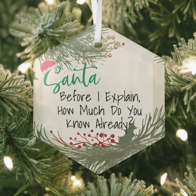 Funny Customizable Dear Santa Christmas Ornament,  Glass Ornament (Insitu)