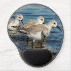 Funny Cute 4 Sanderlings Sandpipers at the Beach