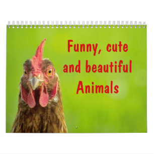 Funny, Cute and Beautiful Animals - Calendar 2017