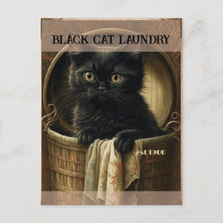Funny cute Black cat laundry Postcard