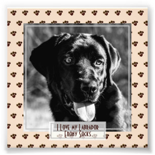 Funny Cute Black Labrador PHOTO Named Memorial Print