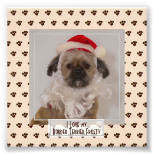 Funny Cute Border Terrier PHOTO Named Keepsake Print