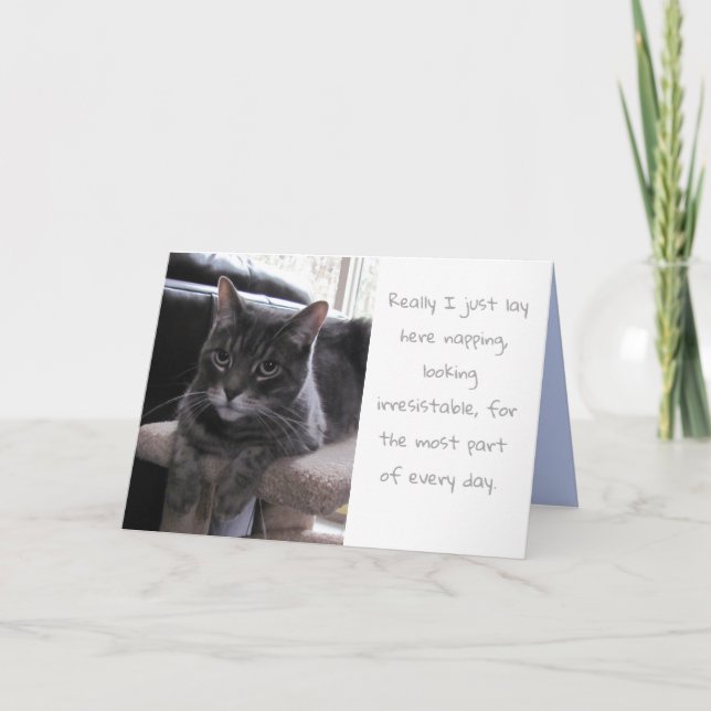 Funny Cute Cat Birthday Card (Front)