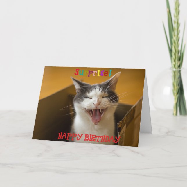 Funny Cute Cat in a Box Birthday Greeting Card  (Front)