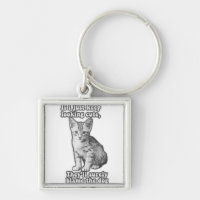 Funny cute cat meme for cat owners & kitty lovers
