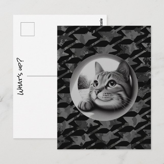 Funny Cute Cool Cat What's Up Animals Hello Meow Postcard (Front/Back)