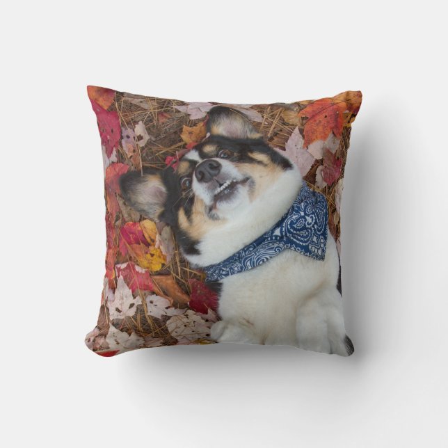 Funny, Cute, Corgi Look Throw Pillow (Front)