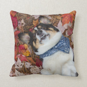 Funny, Cute, Corgi Look Throw Pillow