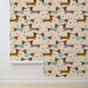 Funny Cute Dachshund Dogs Wallpaper