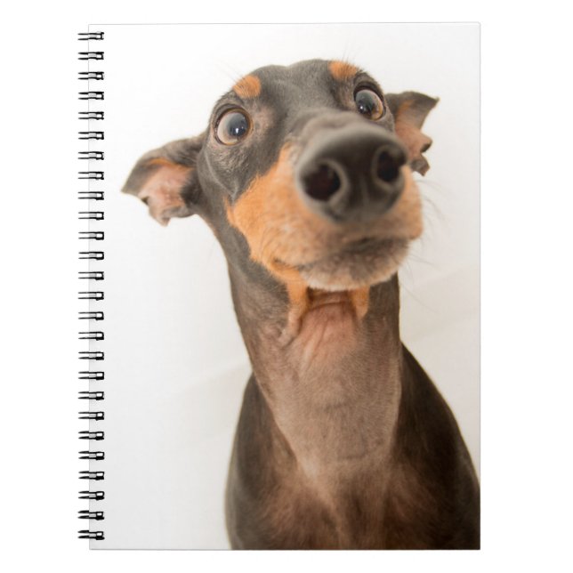 Funny Cute Doberman Puppy Dog Notebook (Front)