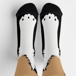 Funny cute dog puppy leg Feet paw Socks