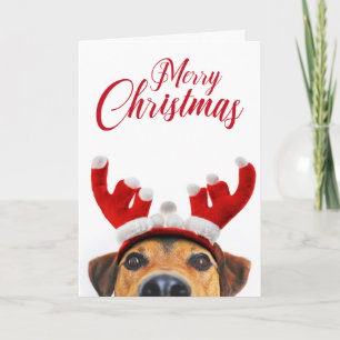 Funny Cute Dog Reindeer Antler Headband Christmas Card