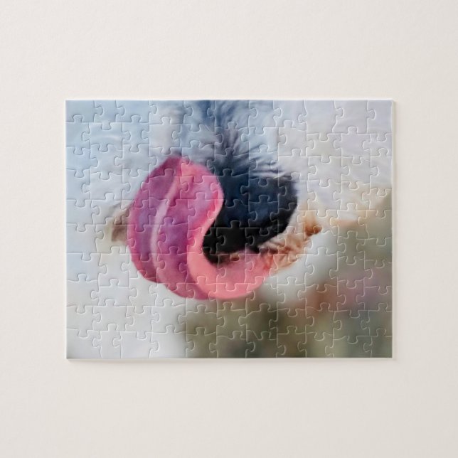 Funny Cute Dog Tongue White Schnauzer Puzzle (Horizontal)