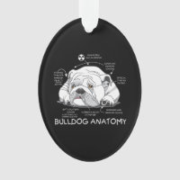 Funny Cute English Bulldog Anatomie de la biologie