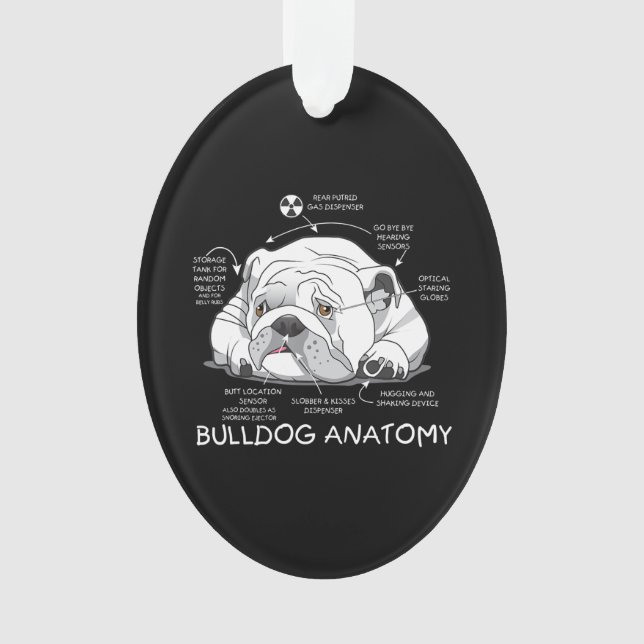 Funny Cute English Bulldog Anatomie de la biologie (devant)