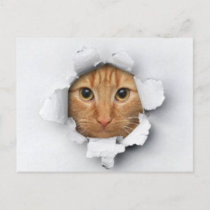 Funny Cute Ginger Mackerel Tabby Cat Postcard