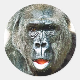 FUNNY CUTE GORILLA CLASSIC ROUND STICKER