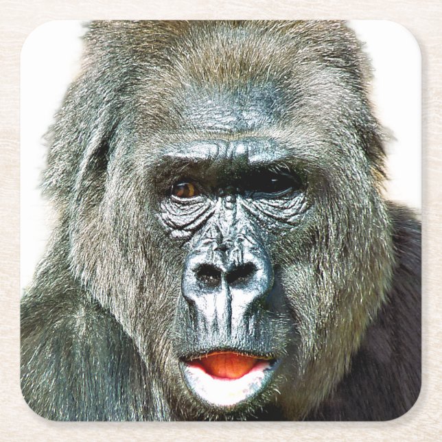 FUNNY CUTE GORILLA SQUARE PAPER COASTER (Front)