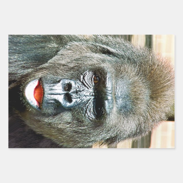 FUNNY CUTE GORILLA WRAPPING PAPER SHEET (Front)
