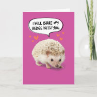 Funny Cute Hedgehog Birthday