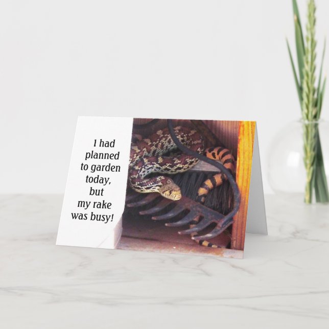 Funny Cute Herp Friendship - Sonoran Gopher Snake Card (Front)