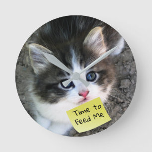 FUNNY! Cute Kitten with Customizable Text Round Clock