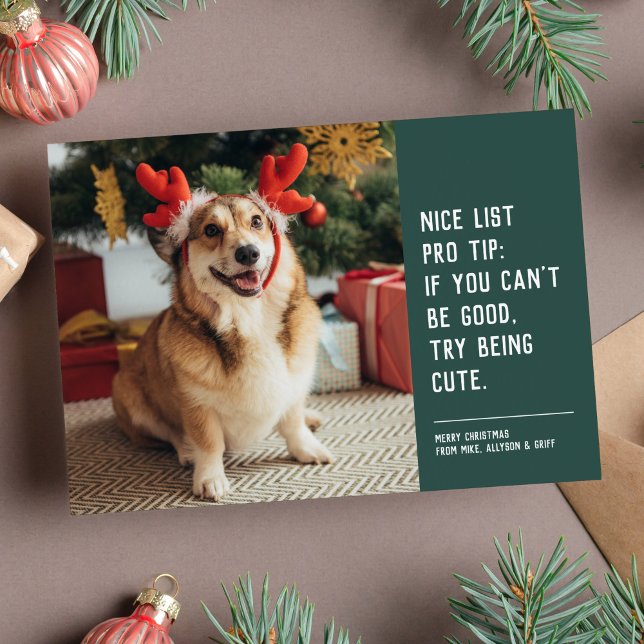 Funny cute pet photo Christmas Holiday Card (Creator Uploaded)