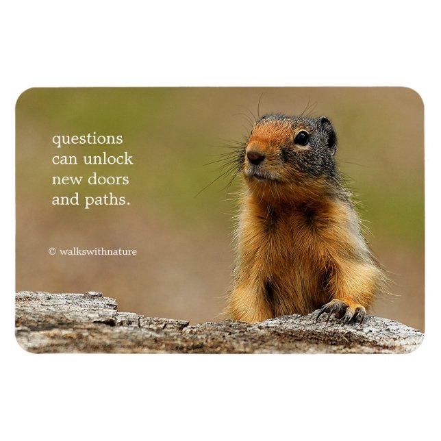 Funny Cute Saucy Columbian Ground Squirrel Magnet (Horizontal)