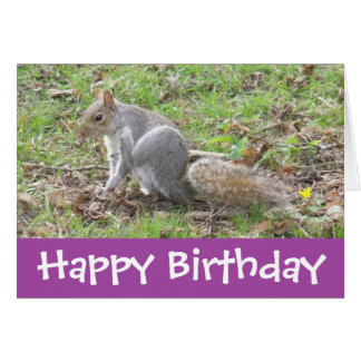 Funny Squirrel Cards, Photocards, Invitations & More