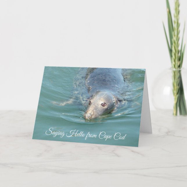 Funny Cute Seal Miss You Saying Hello Card (Front)