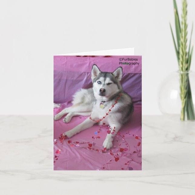 Funny, cute Siberian Husky Valentine's Day Card (Front)