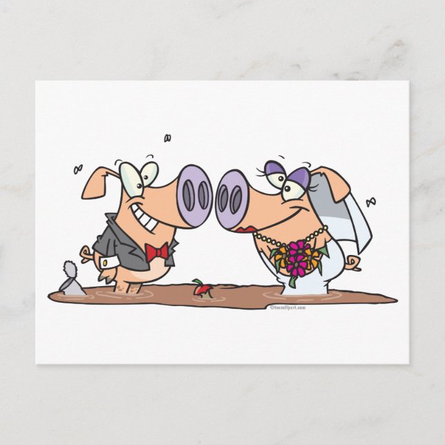 funny cute silly wedding pigs bride groom postcard (Front)