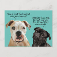 Funny Cute Sit/Stay Dogs During Pandemic No Muzzle