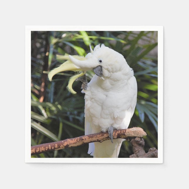 Funny Cute Sulphur-Crested Cockatoo Waves Hello Napkin (Front)