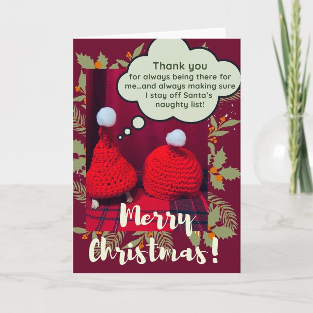 Funny Cute Tortoise Best Friends in Santa hats Card (Front)