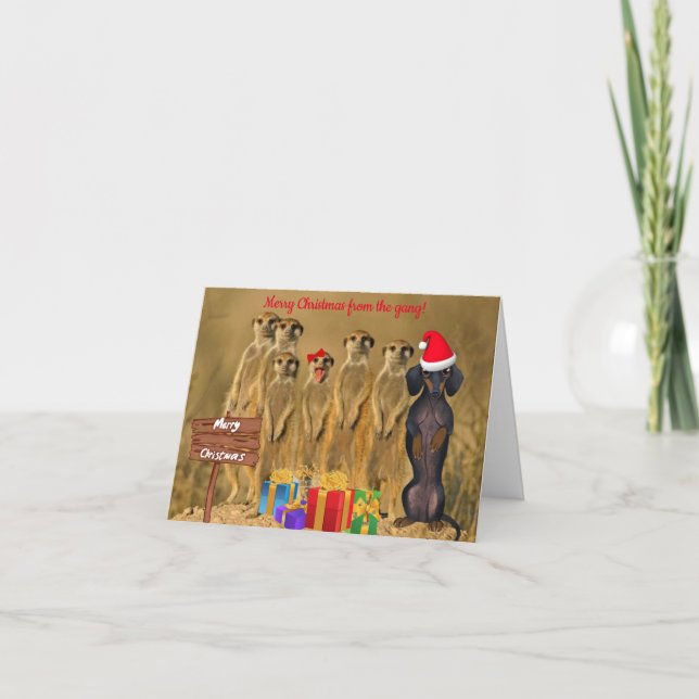 Funny Dachshund Meerkat Christmas Card (Front)