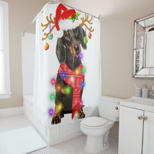 Funny Dachshund Santa Hat Xmas Lights Gift Dog Lov