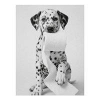 Funny Dalmatian Puppy Holding Toilet Paper Minimal